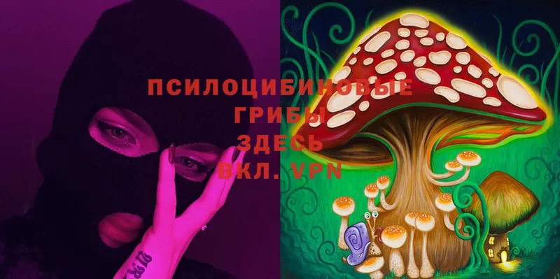 Галлюциногенные грибы MAGIC MUSHROOMS  купить  цена  Майский 